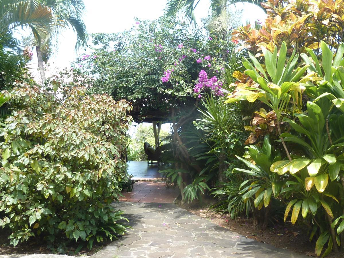Chambre D'Hotes "Villa Rayon Vert" เดเอ ภายนอก รูปภาพ